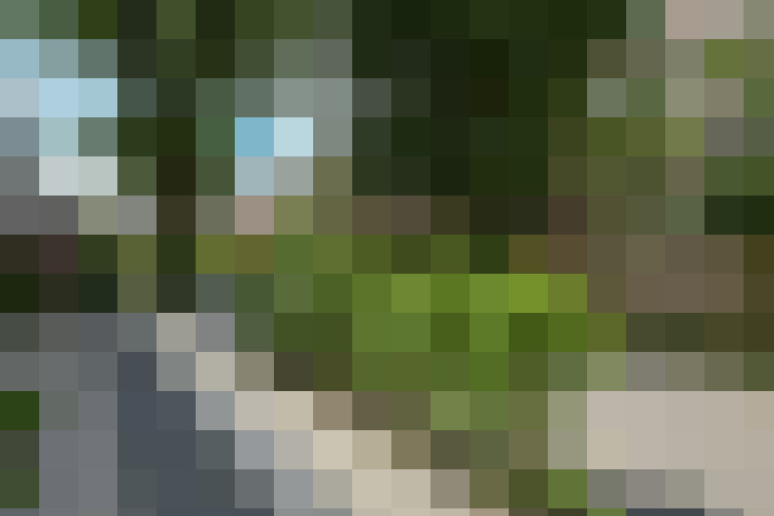 Image 34