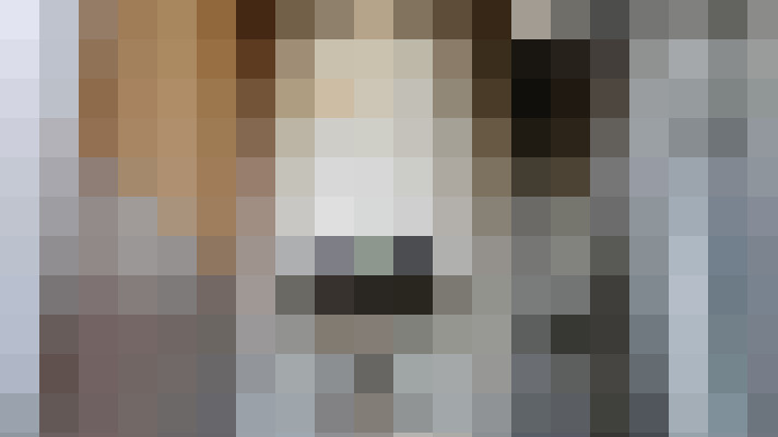 Image 28