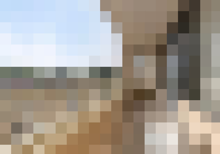 Image 21