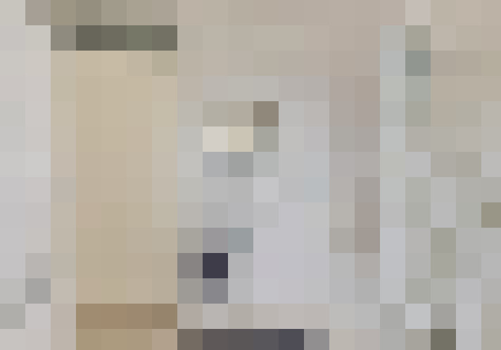 Image 17
