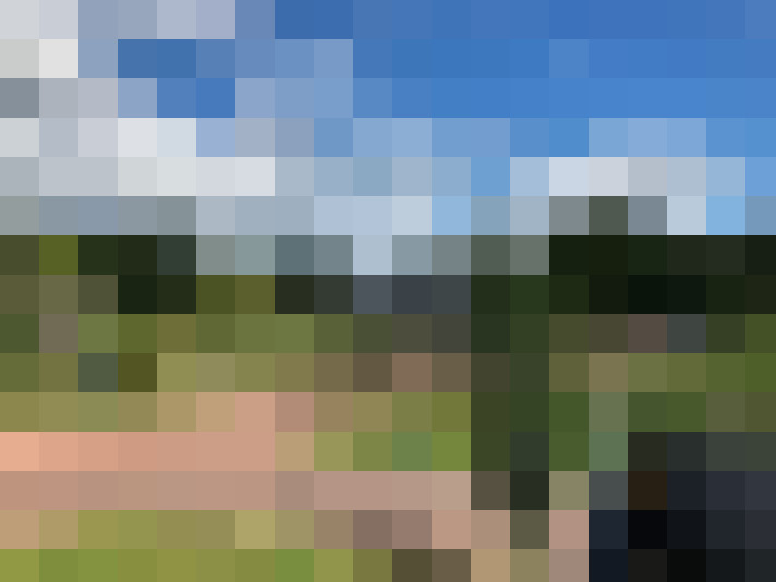 Image 17