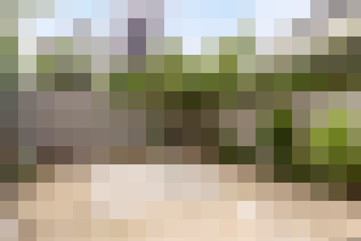 Image 33
