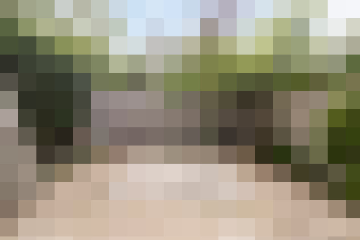 Image 34