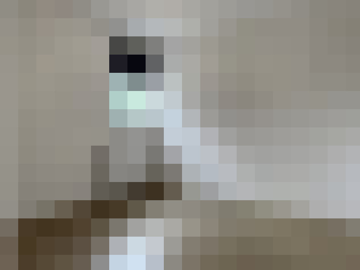 Image 18