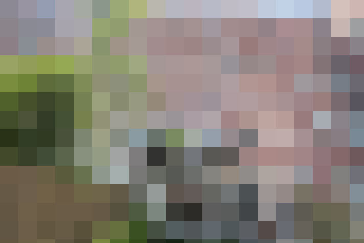 Image 42