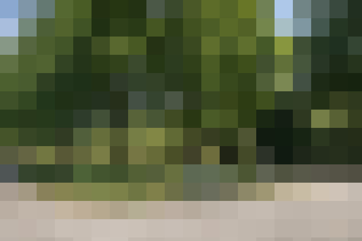 Image 44