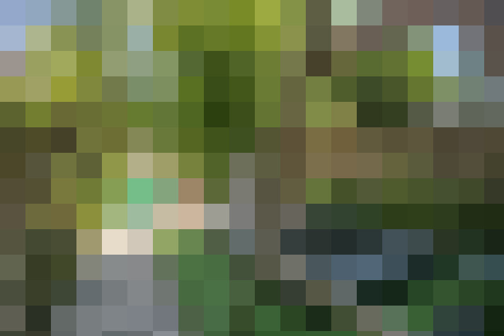 Image 38