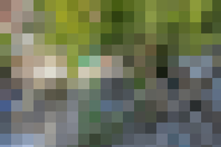 Image 37