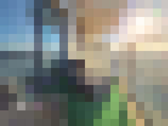 Image 27