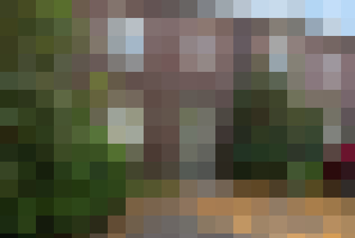 Image 20