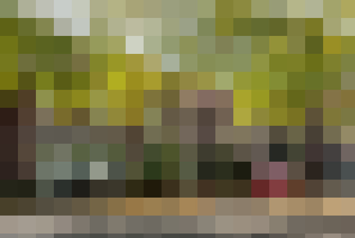 Image 16