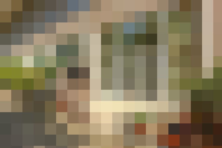 Image 16