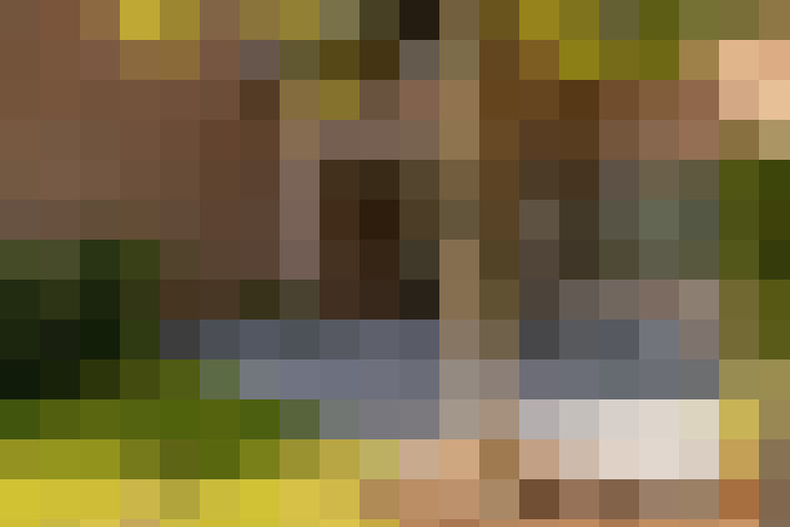 Image 33