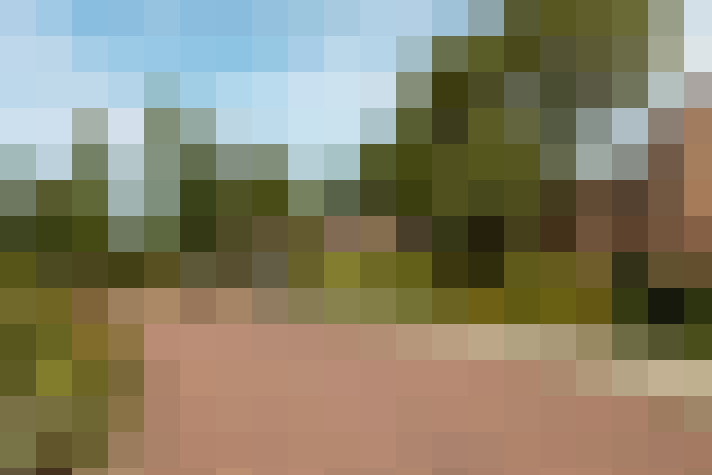 Image 41