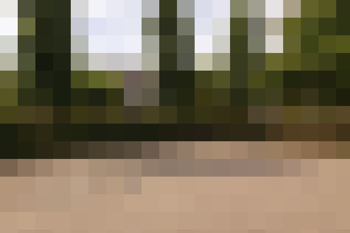Image 38