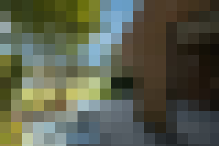 Image 29