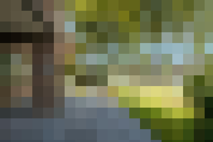 Image 14