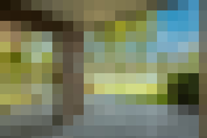 Image 26