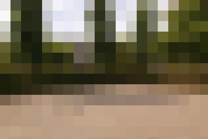 Image 76