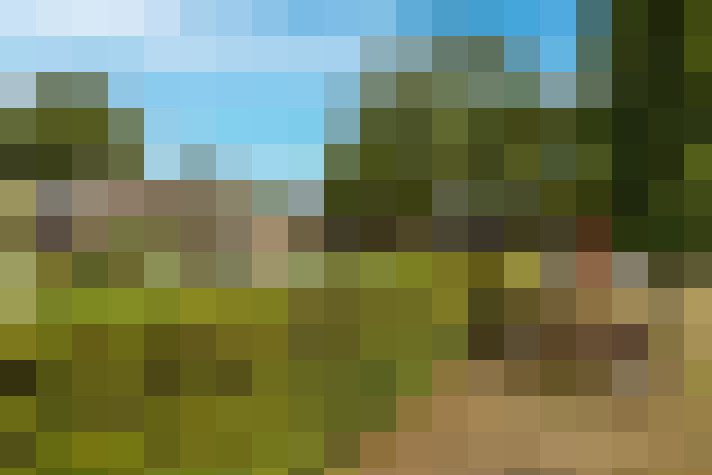 Image 40