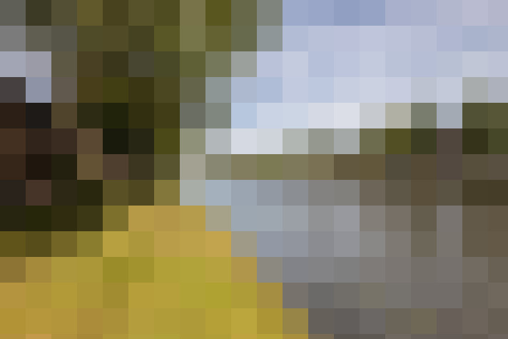 Image 38