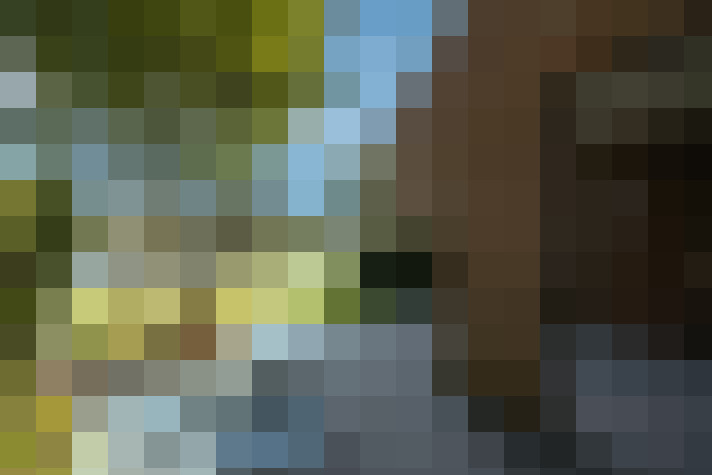 Image 15
