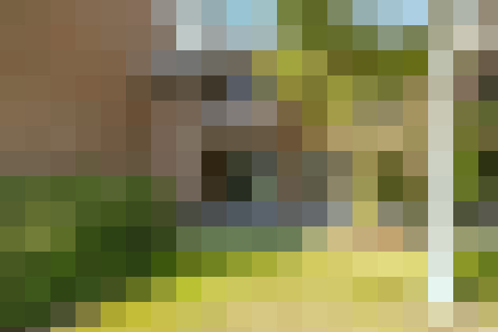 Image 18