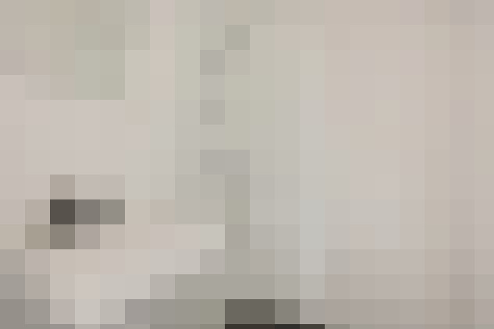 Image 29
