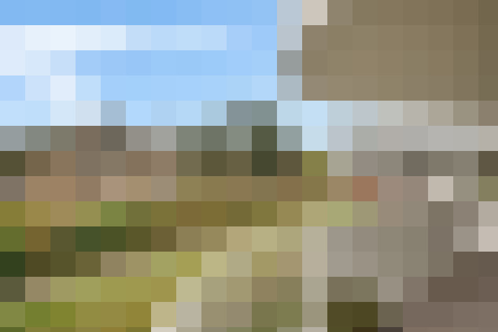 Image 22