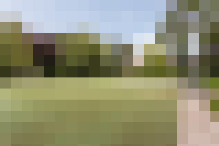 Image 34