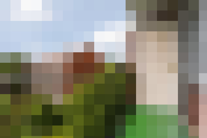 Image 20