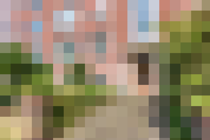 Image 29