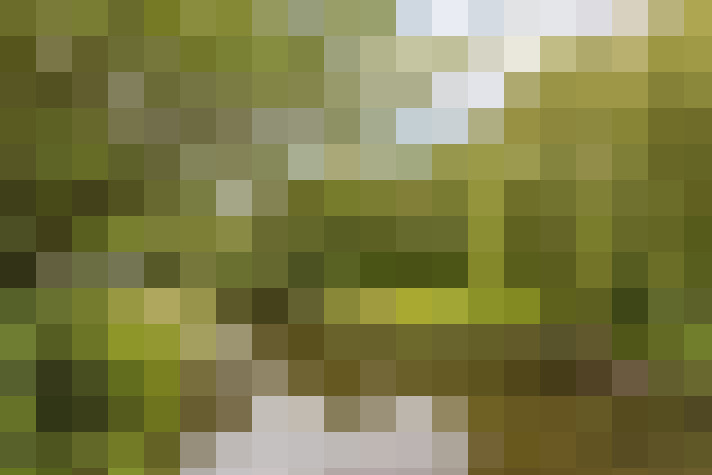 Image 32