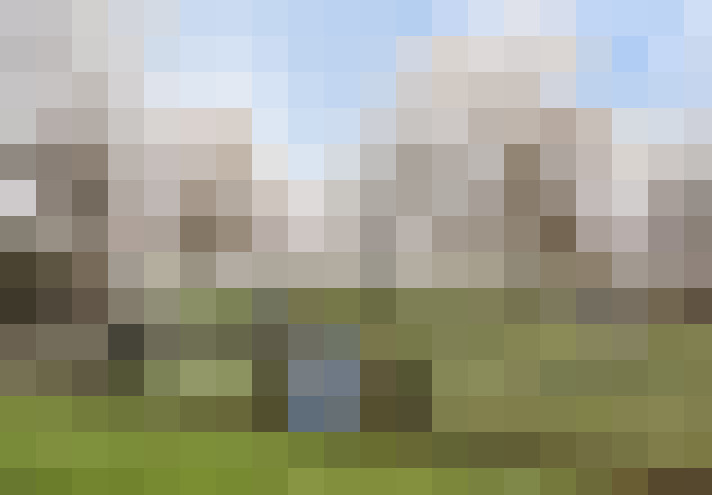 Image 34