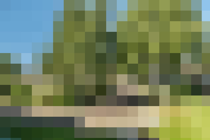 Image 23