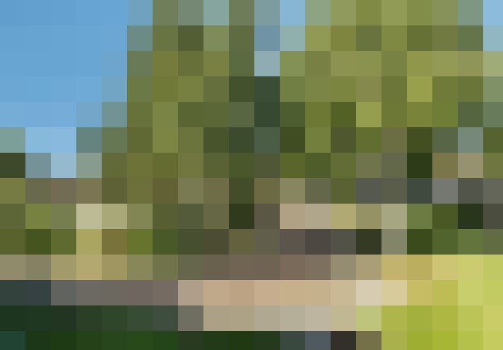 Image 22
