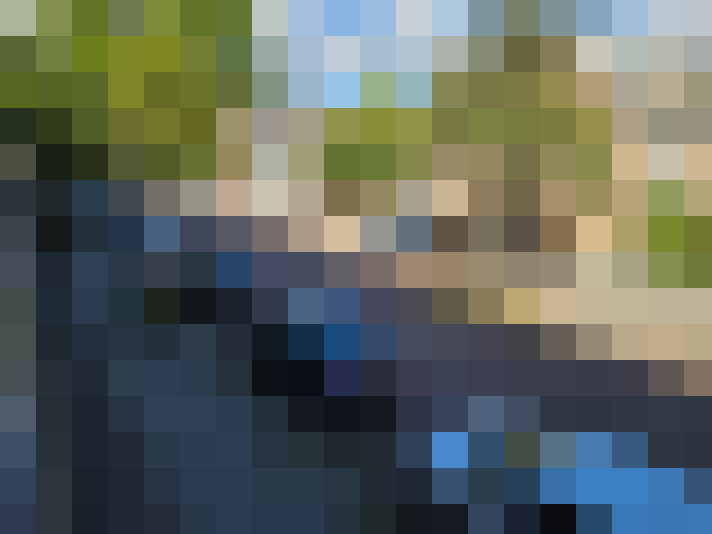 Image 36