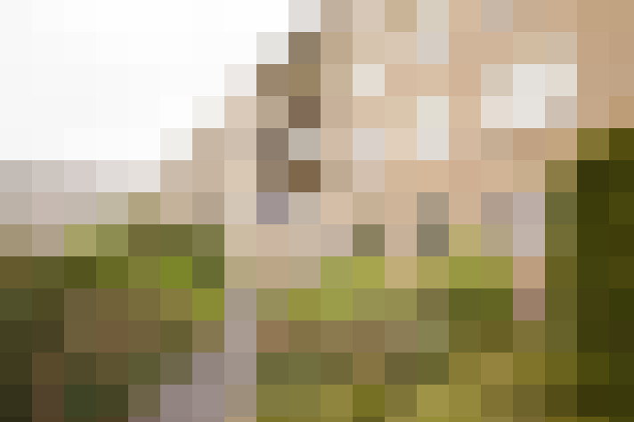 Image 31
