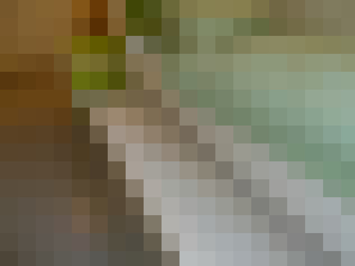 Image 23
