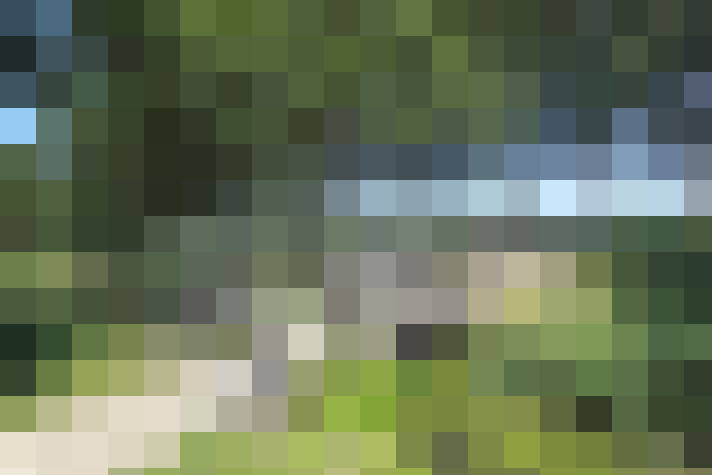 Image 13