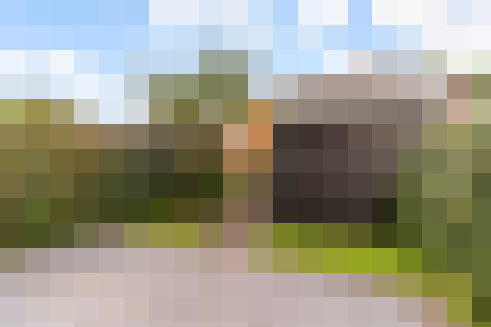 Image 31