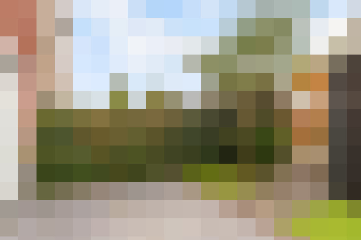 Image 33