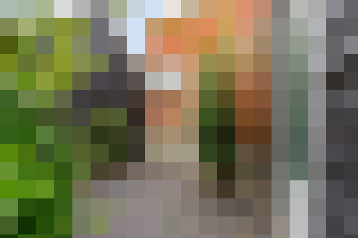 Image 36