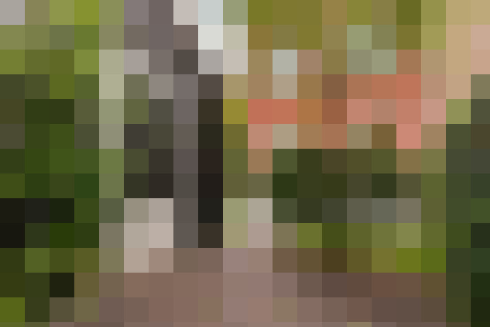Image 35