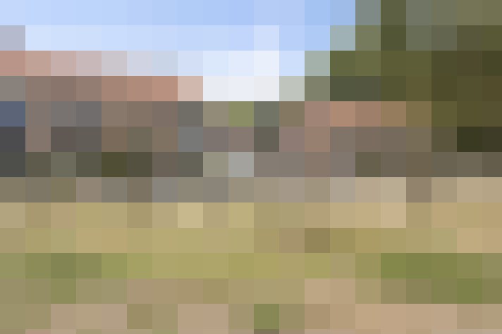 Image 17