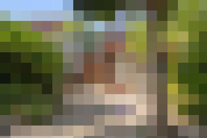 Image 32