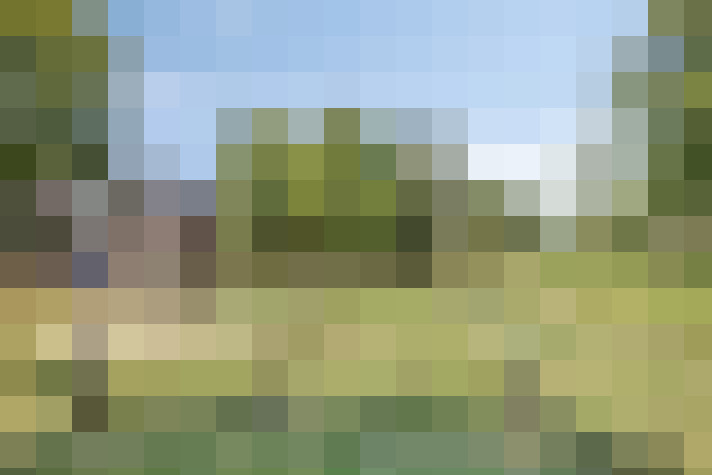 Image 37
