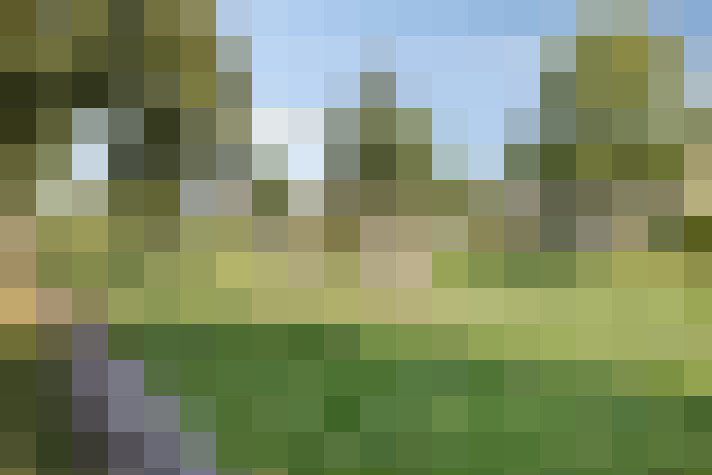Image 35