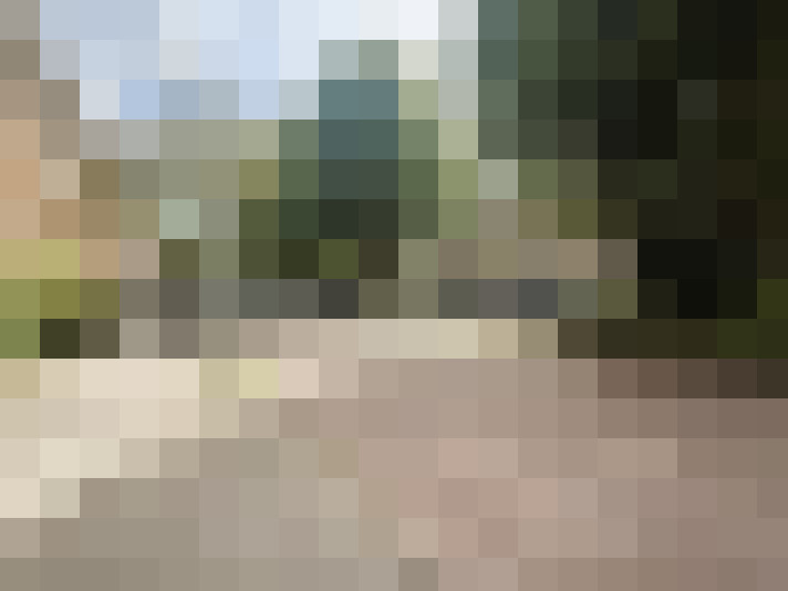 Image 22