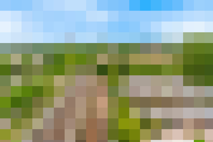 Image 25